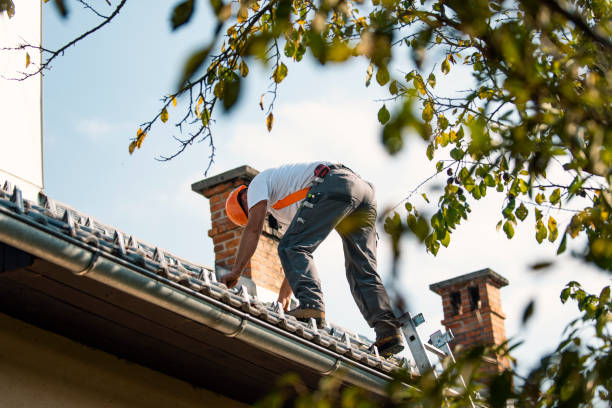 Best Roof Leak Repair  in California, MO